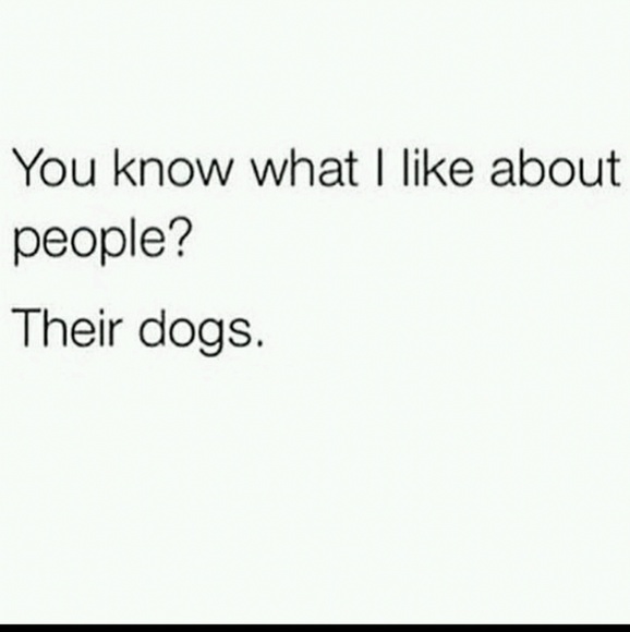 Meet your Posher, Amber - Picture 3 of 5